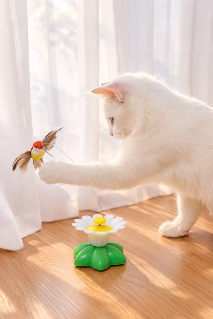 Flying Toy That Keeps Your Cat Active
