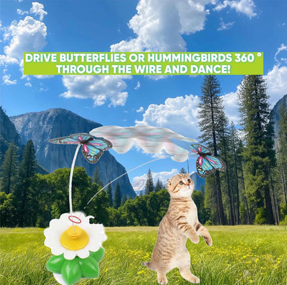 Flying Toy That Keeps Your Cat Active